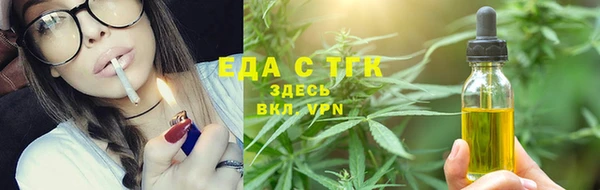 спиды Бородино