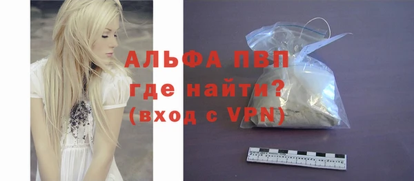 спиды Бородино
