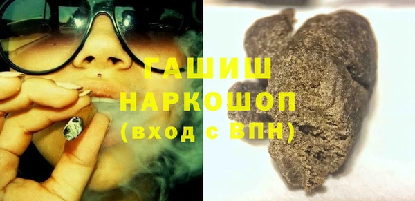 спиды Бородино